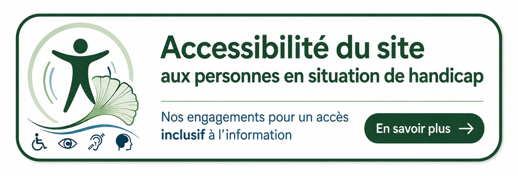 accessibilité du site